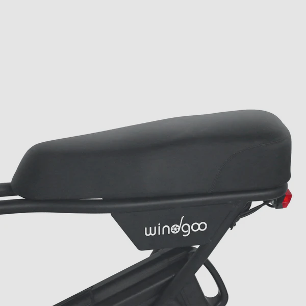 Windgoo - F1